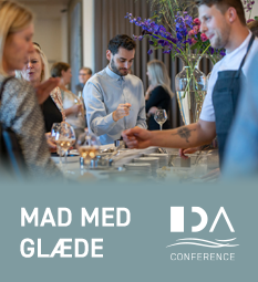 IDA Conference